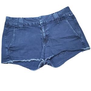 Hudson Navy Shorts 